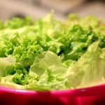 Frisch gewaschener Salat in einer Salatschleuder