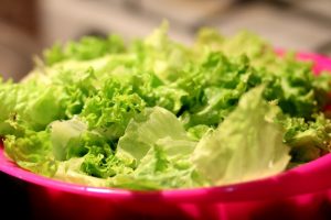 Frisch gewaschener Salat in einer Salatschleuder